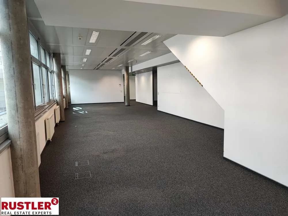 Gewerbeimmobilie mieten in Wien – 494 m², € 9.040 – Bild 9 von 12