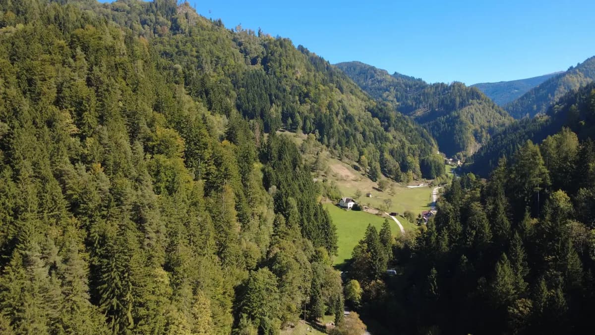 Grundstück kaufen in Wolfsberg – 164 365 m², € 280.000