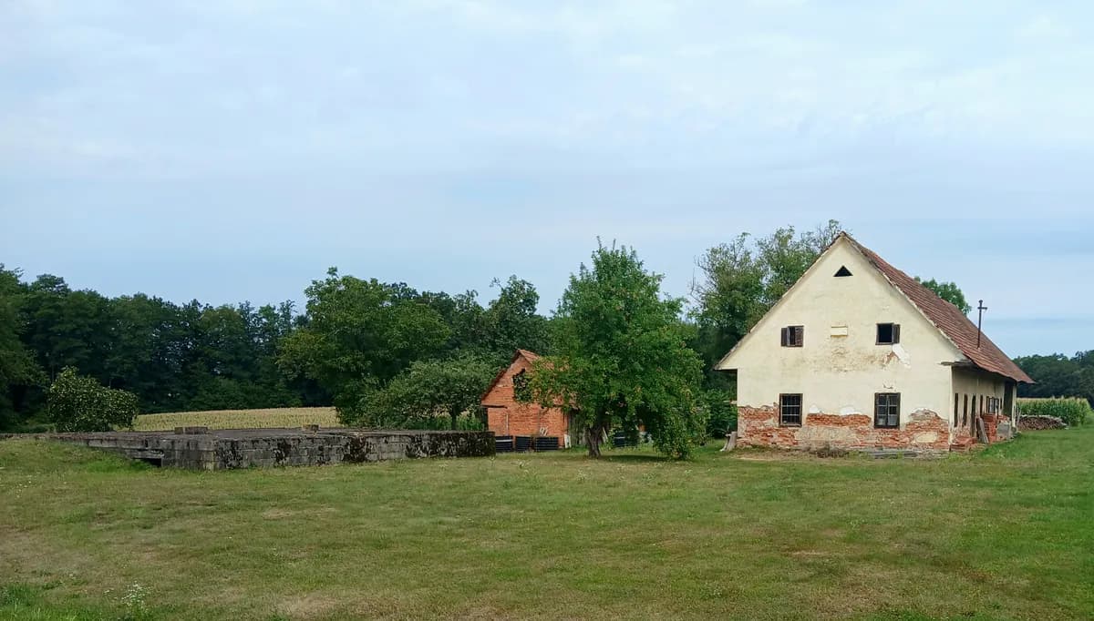Immobilie kaufen in Südoststeiermark – 26 000 m², € 249.000 – Bild 5 von 18