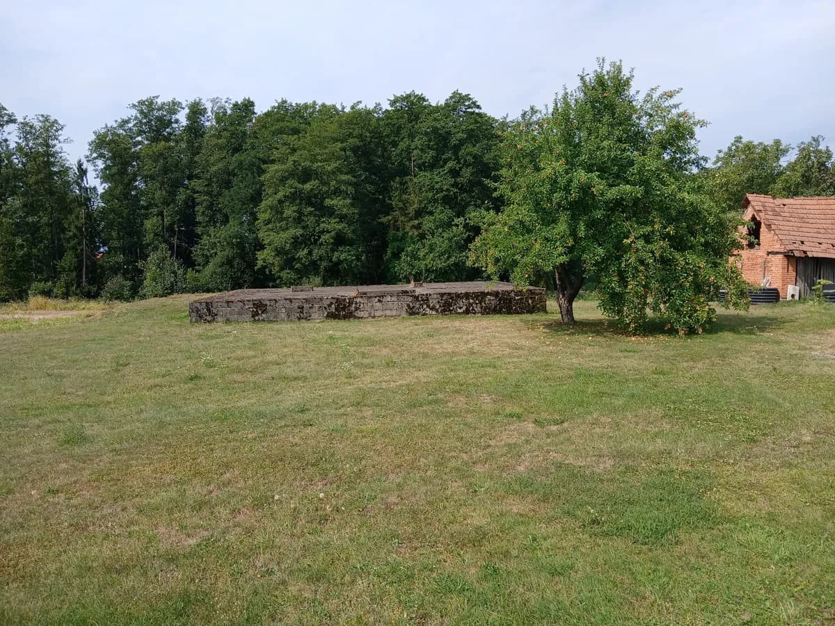 Immobilie kaufen in Südoststeiermark – 26 000 m², € 249.000 – Bild 11 von 18