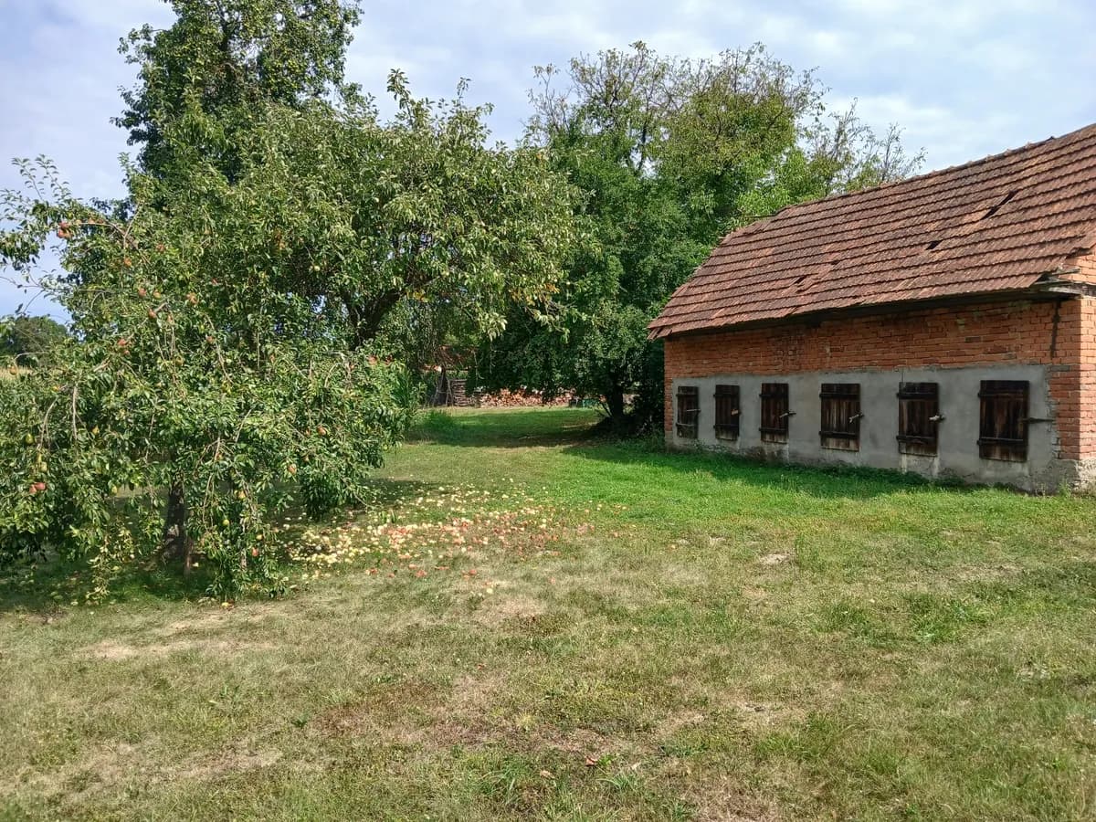 Immobilie kaufen in Südoststeiermark – 26 000 m², € 249.000 – Bild 13 von 18