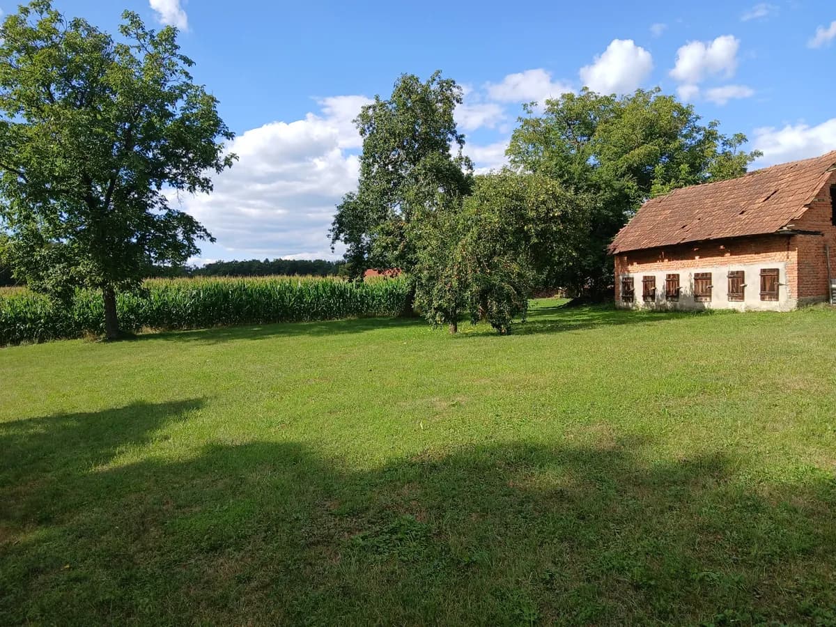 Immobilie kaufen in Südoststeiermark – 26 000 m², € 249.000 – Bild 18 von 18