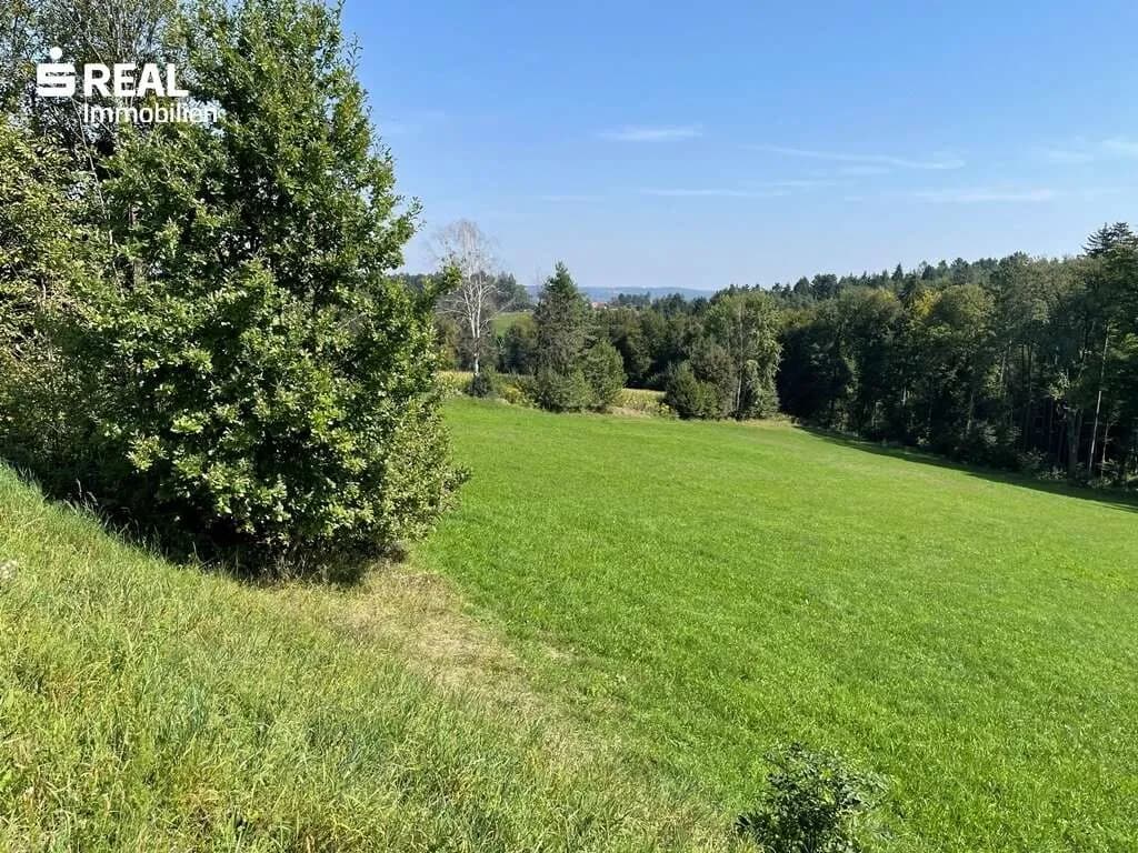 Grundstück kaufen in Voitsberg – 4 250 m², € 299.000 – Bild 2 von 4