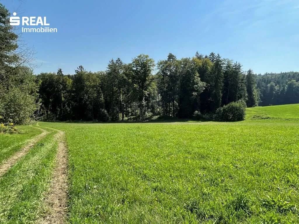 Grundstück kaufen in Voitsberg – 4 250 m², € 299.000 – Bild 3 von 4