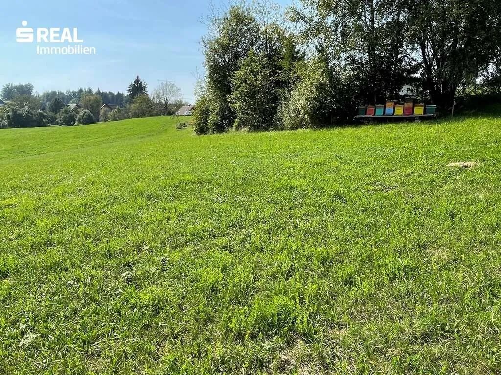 Grundstück kaufen in Voitsberg – 4 250 m², € 299.000 – Bild 4 von 4