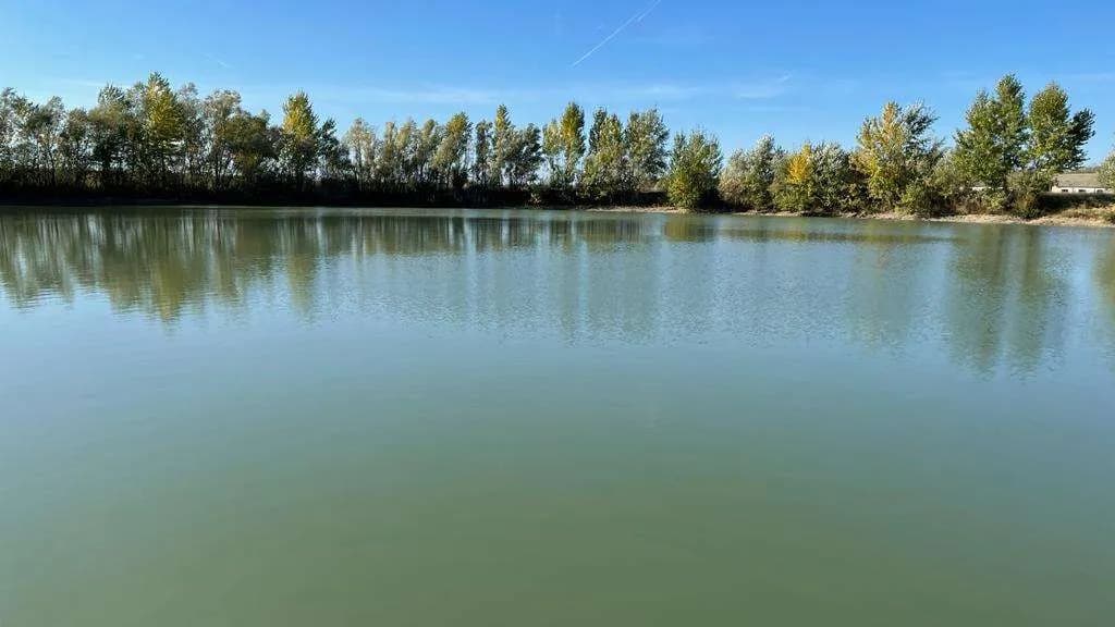 Immobilie kaufen in Österreich – 51 000 m², € 450.000