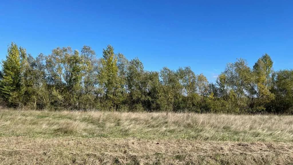 Immobilie kaufen in Österreich – 51 000 m², € 450.000 – Bild 7 von 17