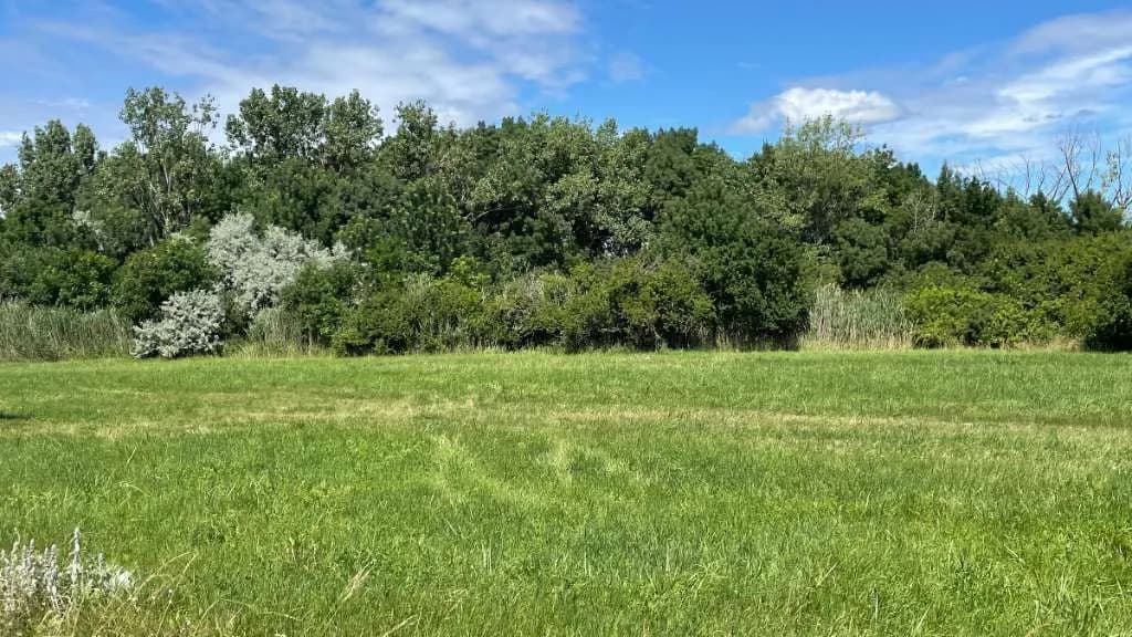 Grundstück kaufen in Österreich – 700 m², € 34.600 – Bild 12 von 19