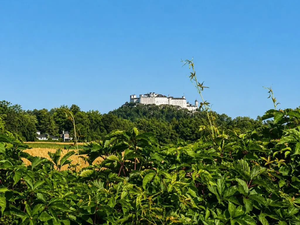Grundstück kaufen in Salzburg Stadt – 681 m², € 1.500.000