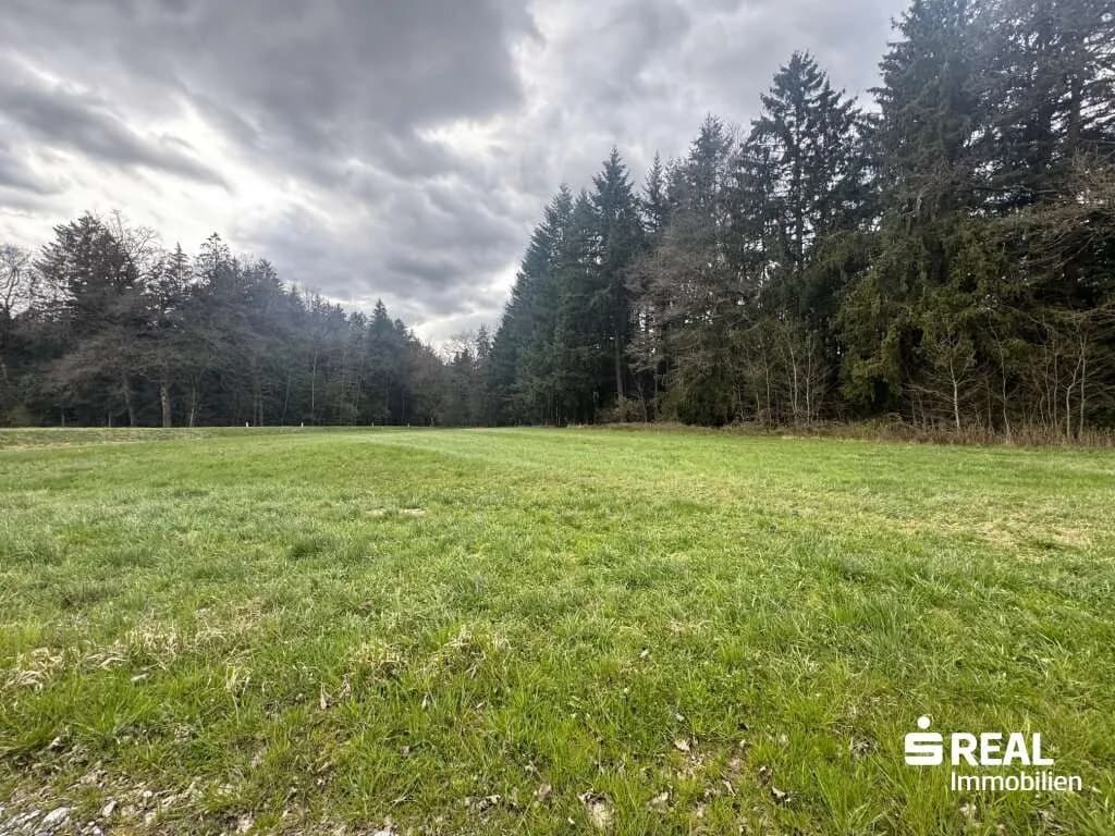 Grundstück kaufen in Grieskirchen – 3 958 m²