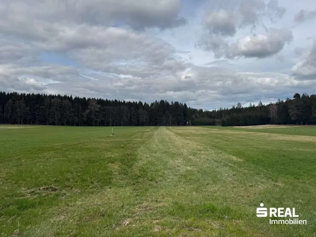 Grundstück kaufen in Schärding – 3 230 m²