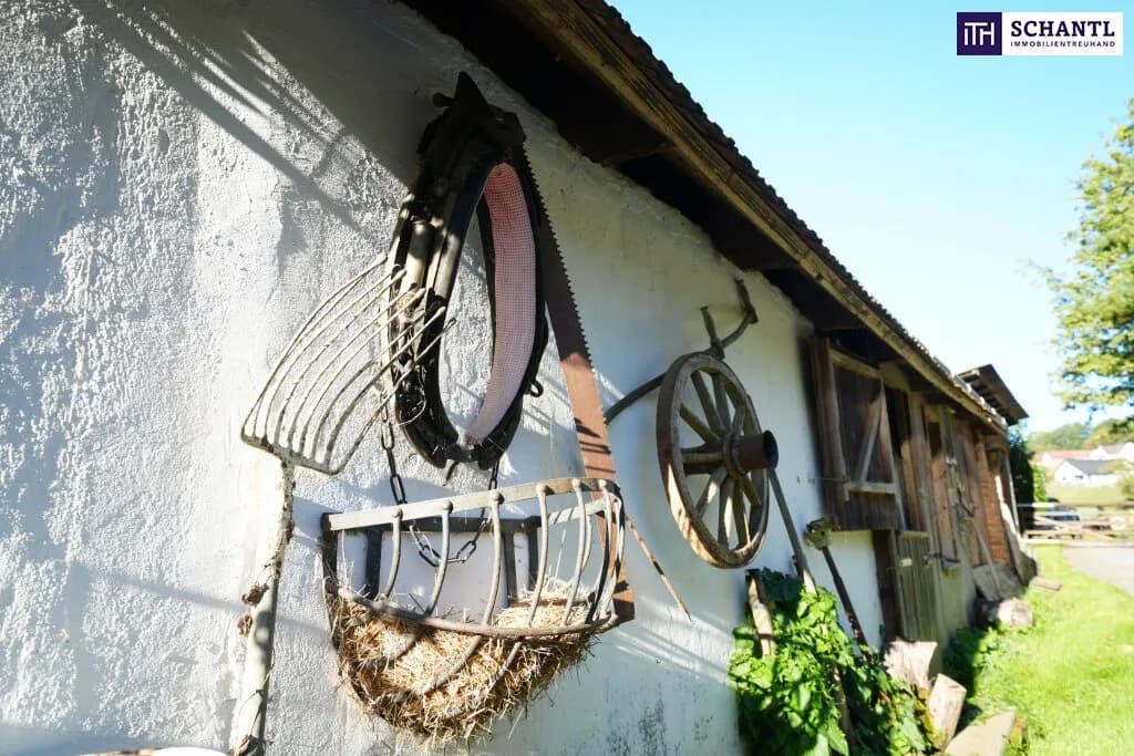 6-Zimmer-Haus kaufen in Hartberg-Fürstenfeld – 380 m², € 999.000 – Bild 13 von 93