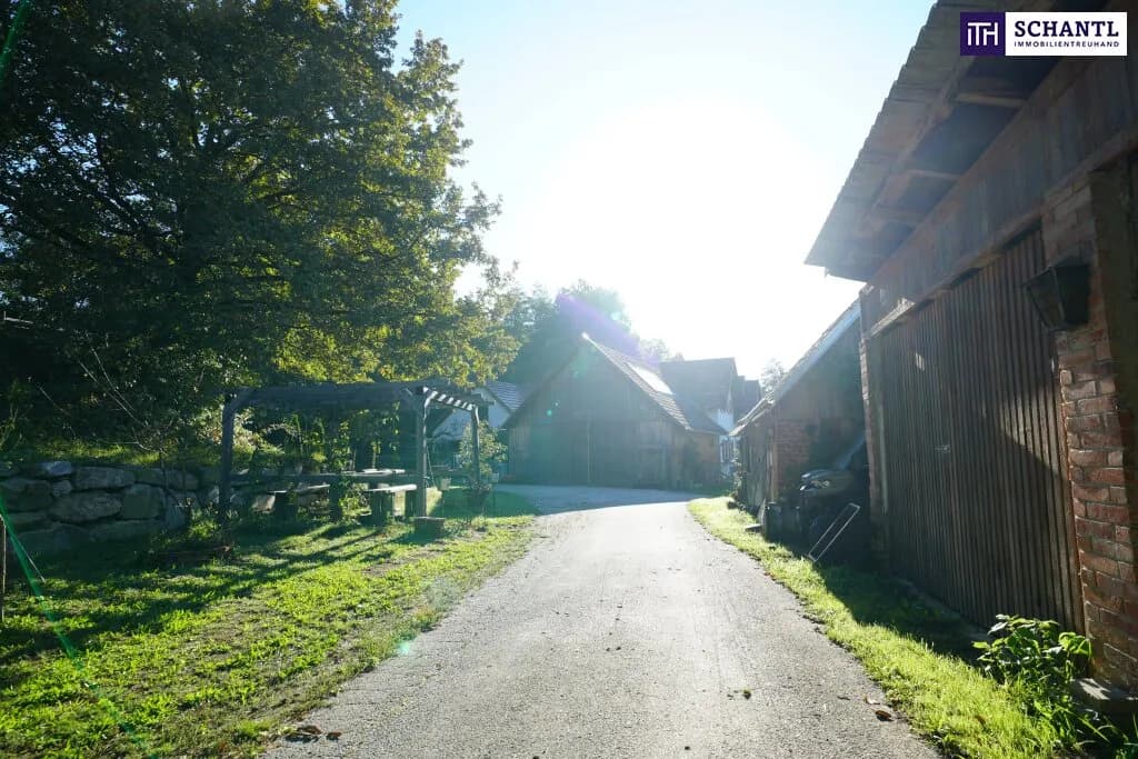 6-Zimmer-Haus kaufen in Hartberg-Fürstenfeld – 380 m², € 999.000 – Bild 17 von 93