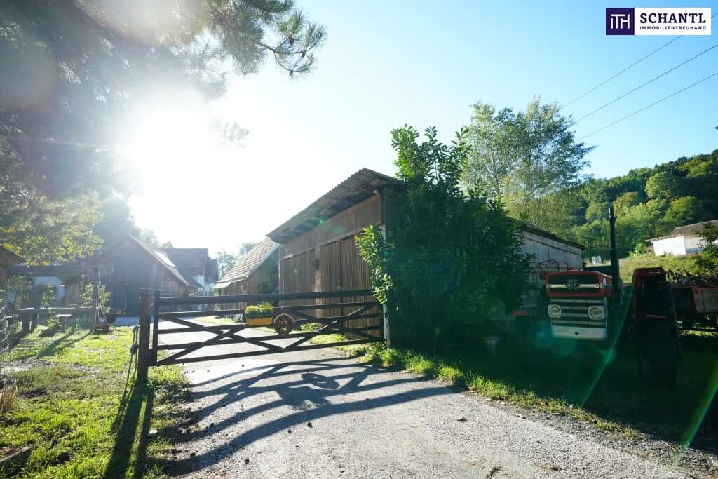 6-Zimmer-Haus kaufen in Hartberg-Fürstenfeld – 380 m², € 999.000 – Bild 23 von 93