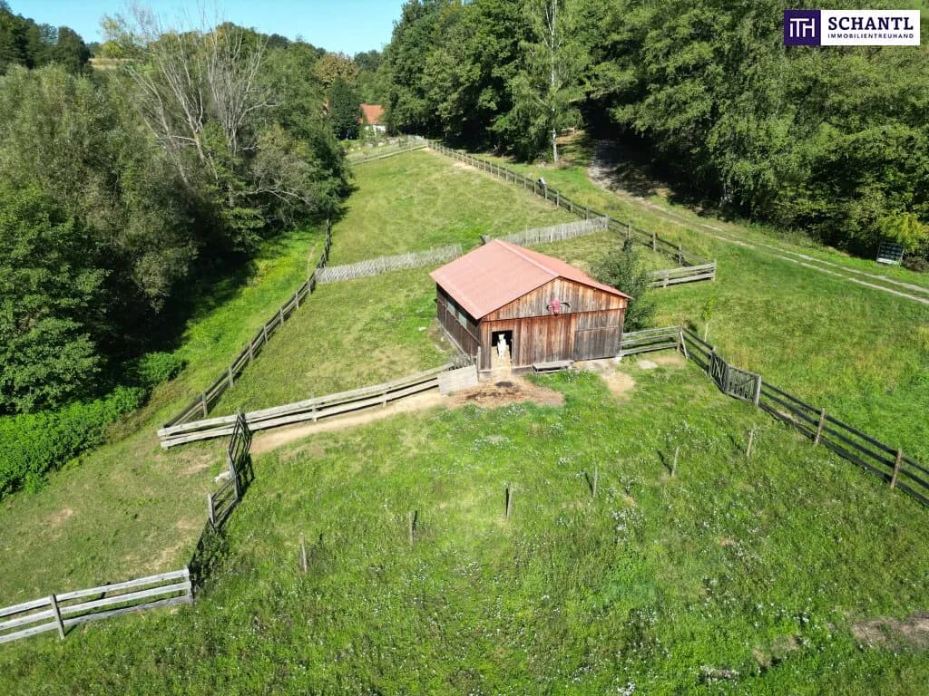 6-Zimmer-Haus kaufen in Hartberg-Fürstenfeld – 380 m², € 999.000 – Bild 86 von 93