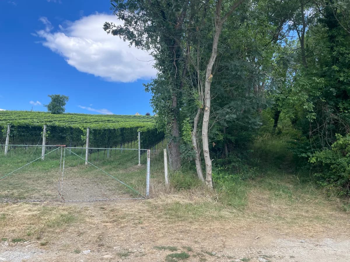 Grundstück kaufen in Weiz – 9 898 m² – Bild 3 von 6