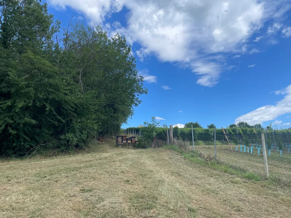 Grundstück kaufen in Weiz – 9 898 m² – Bild 4 von 6