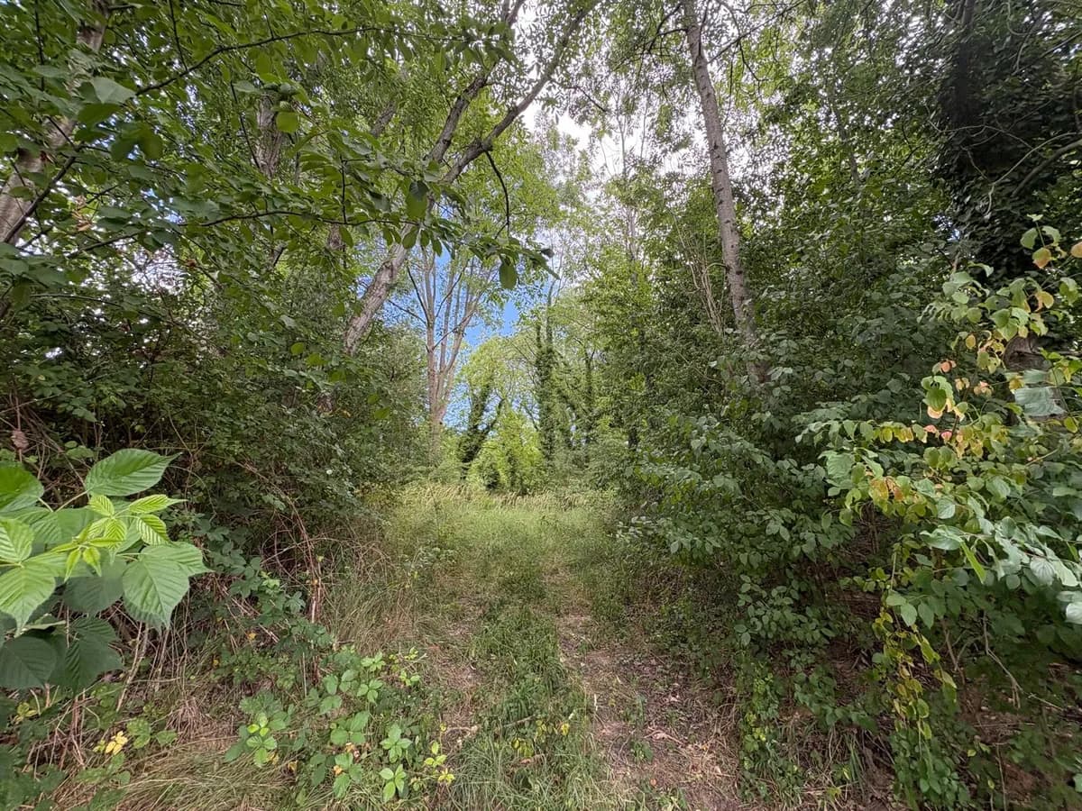 Grundstück kaufen in Weiz – 9 898 m² – Bild 5 von 6