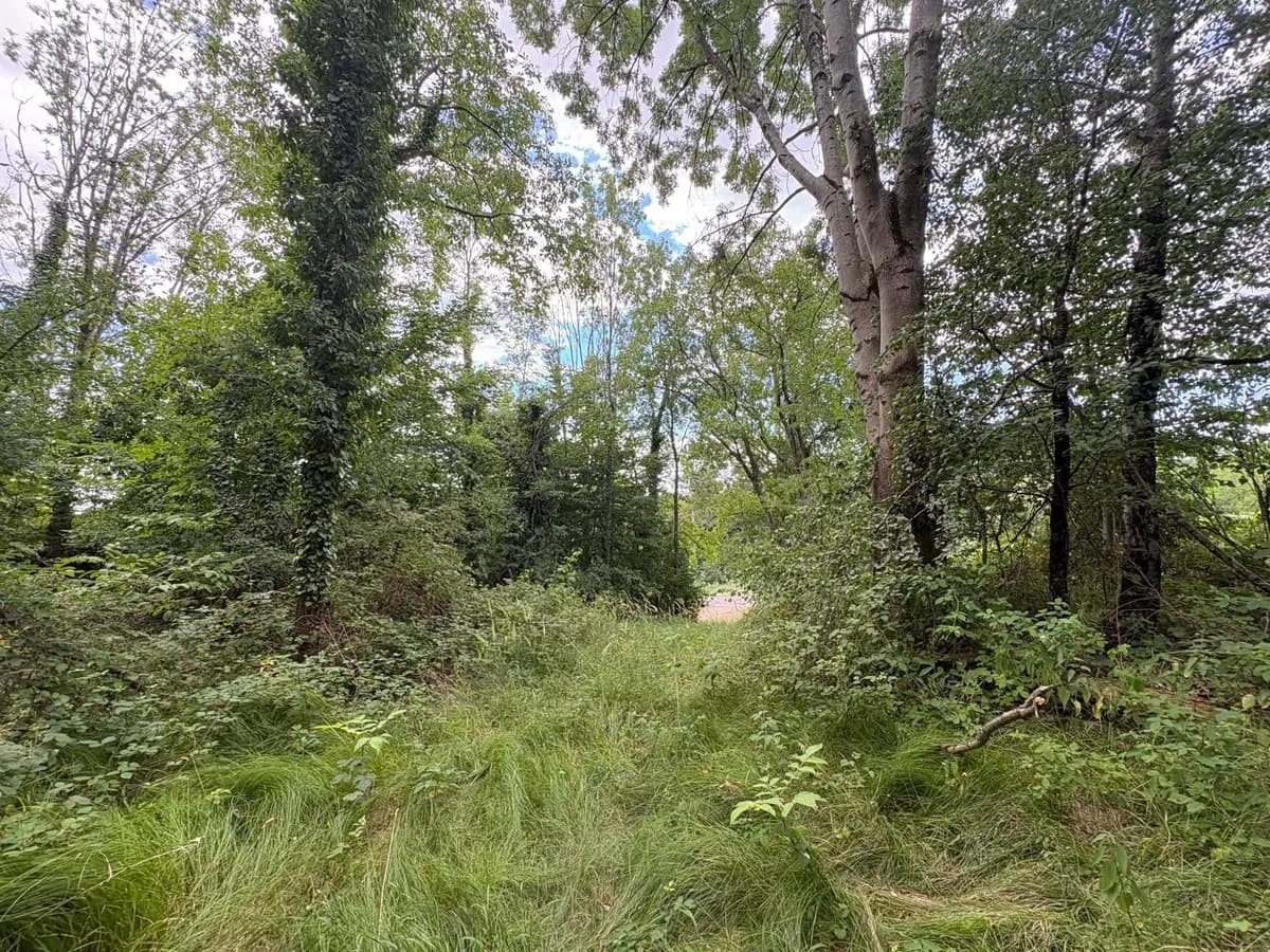 Grundstück kaufen in Weiz – 9 898 m² – Bild 6 von 6