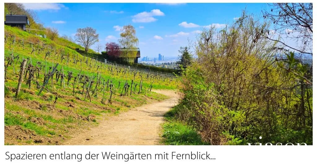 4-Zimmer-Wohnung kaufen in Wien – 150,31 m², € 849.900 – Bild 12 von 78