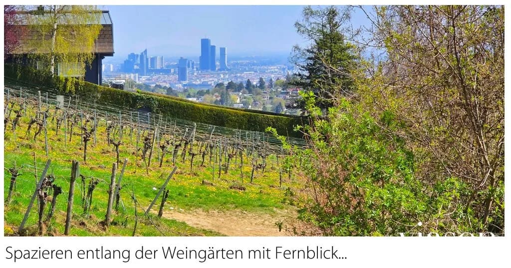 4-Zimmer-Wohnung kaufen in Wien – 150,31 m², € 849.900 – Bild 75 von 78
