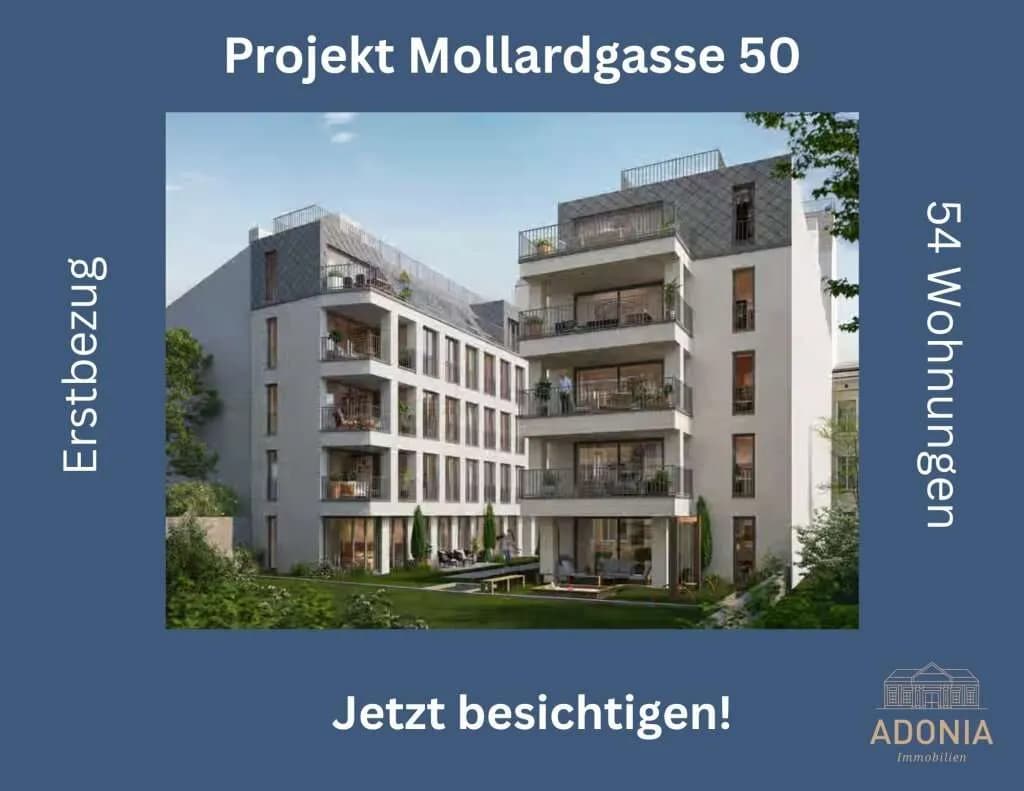 3-Zimmer-Wohnung mieten in Wien – 81,13 m², € 2.399 – Bild 23 von 39
