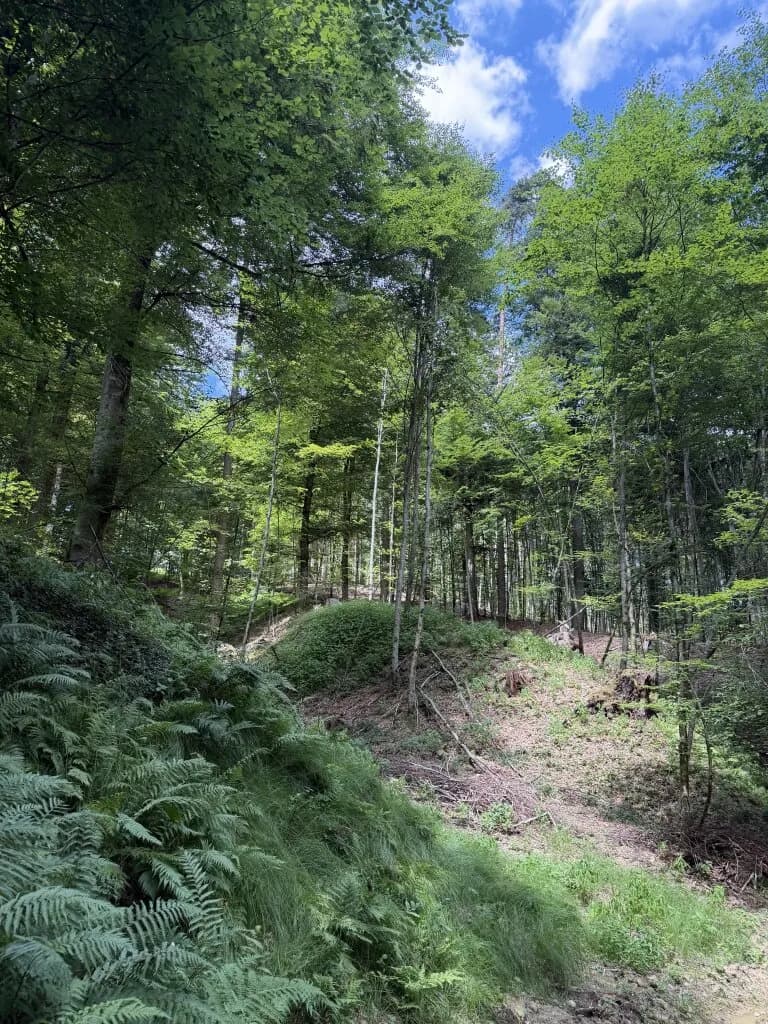 Grundstück kaufen in Weiz – 92 720 m² – Bild 2 von 6