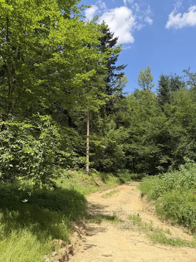 Grundstück kaufen in Weiz – 92 720 m² – Bild 6 von 6