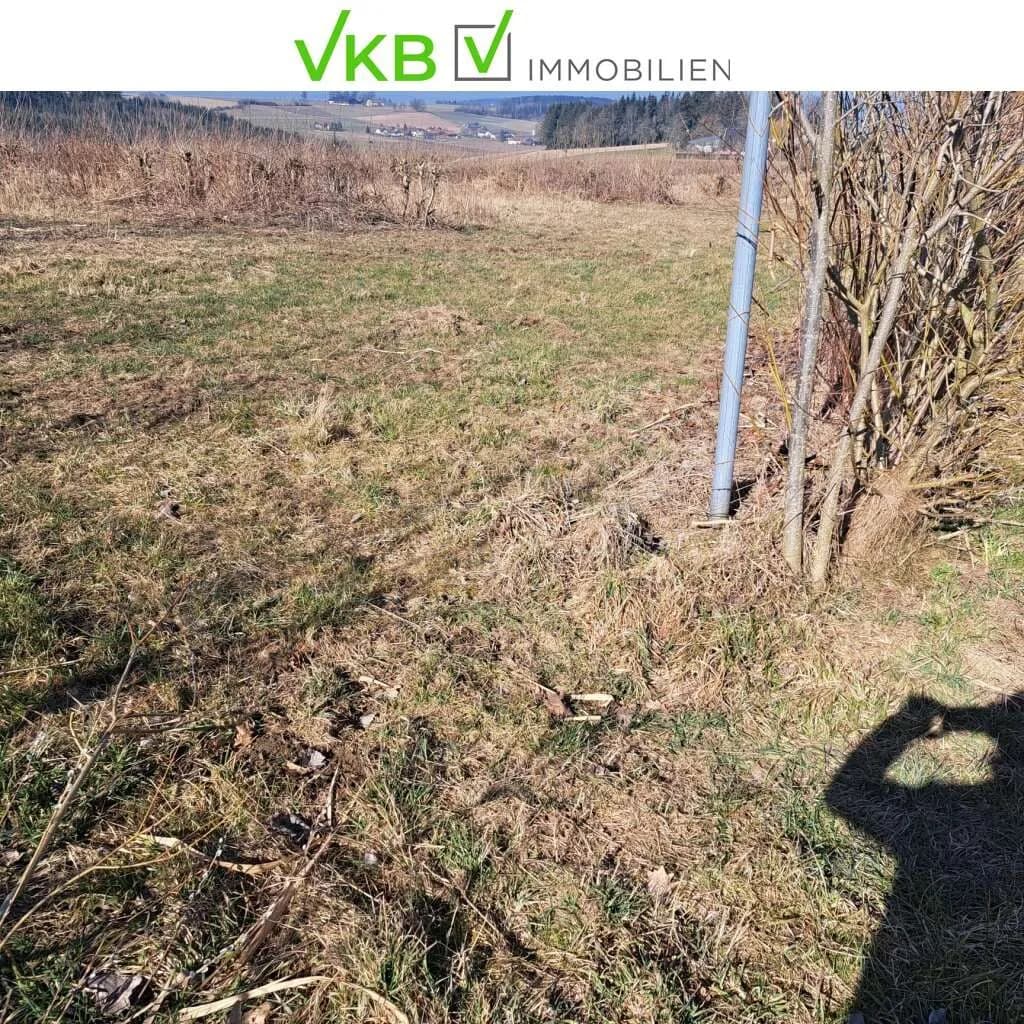 Grundstück kaufen in Ried im Innkreis – 13 975 m², € 461.175 – Bild 5 von 5