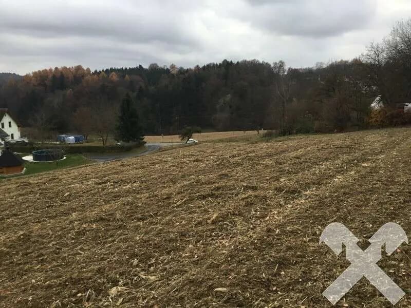 Grundstück kaufen in Südoststeiermark – 1 362 m² – Bild 5 von 8