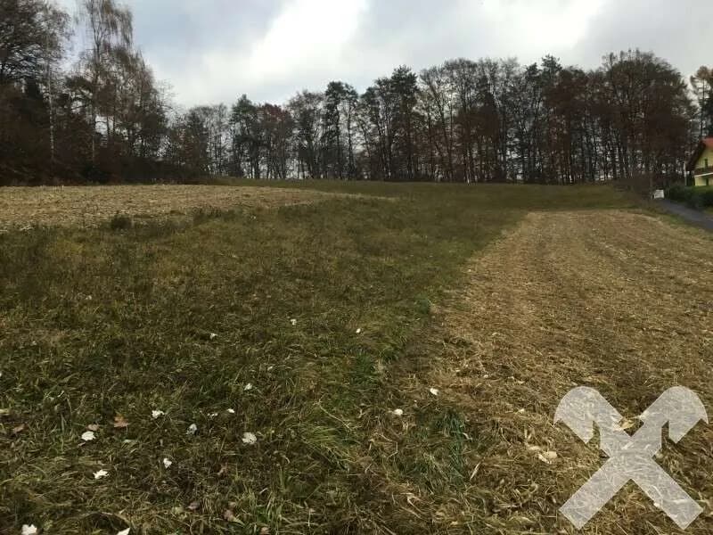 Grundstück kaufen in Südoststeiermark – 1 362 m² – Bild 6 von 8