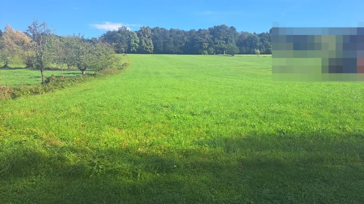 Grundstück kaufen in Südoststeiermark – 1 009 m², € 53.000 – Bild 4 von 7