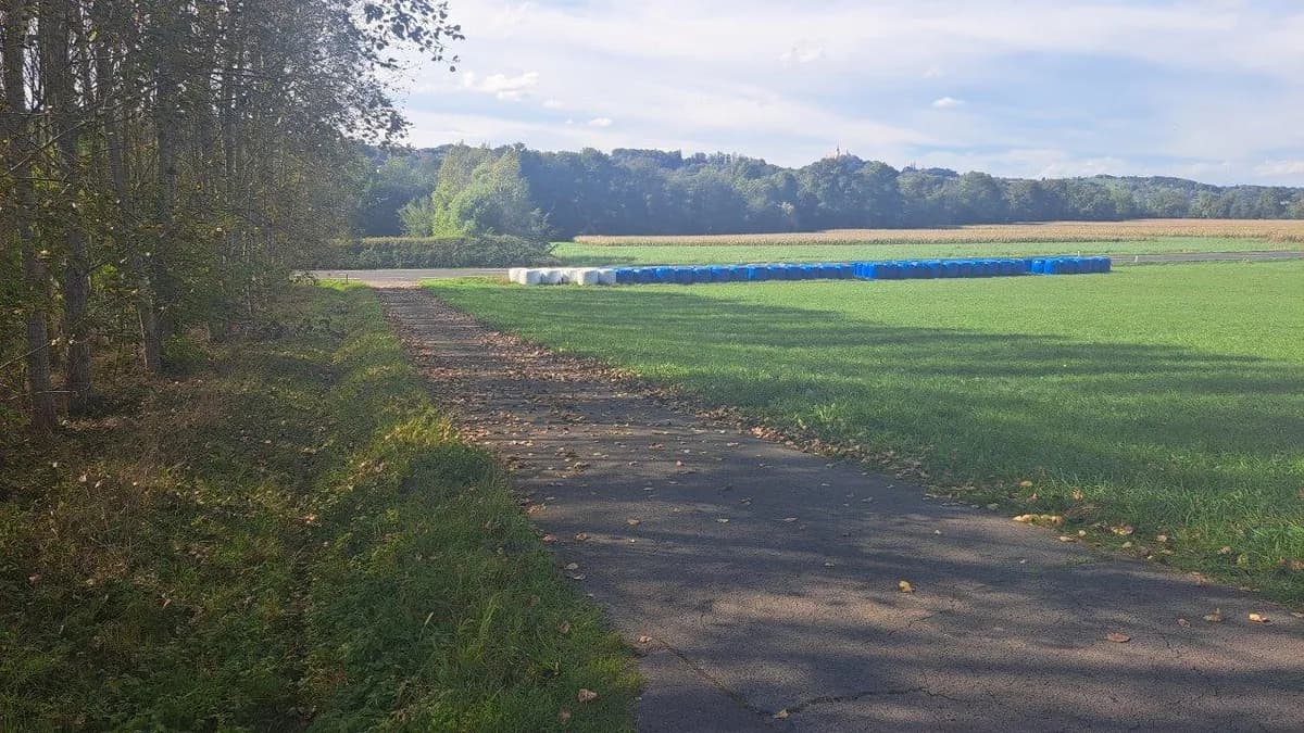 Grundstück kaufen in Südoststeiermark – 1 009 m², € 53.000 – Bild 5 von 7