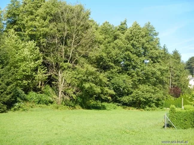 Grundstück kaufen in Baden – 916 m²