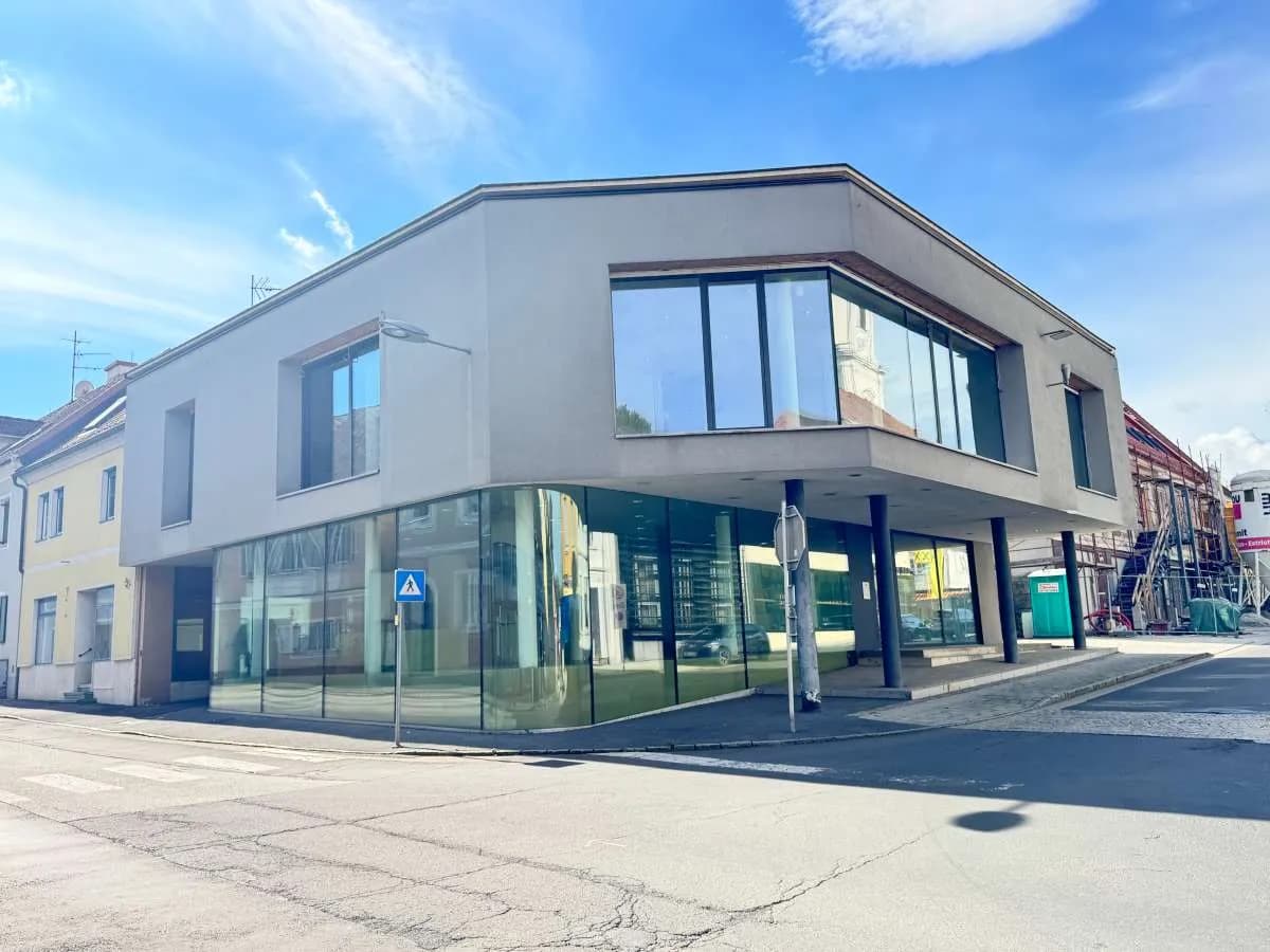 Gewerbeimmobilie mieten in Südoststeiermark – 399 m² – Bild 2 von 18