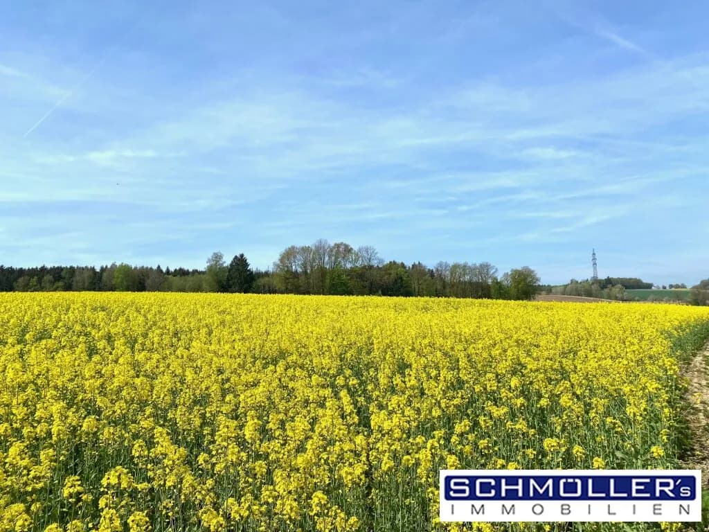 Grundstück kaufen in Wels-Land – 1 163 m², € 399.000 – Bild 2 von 6