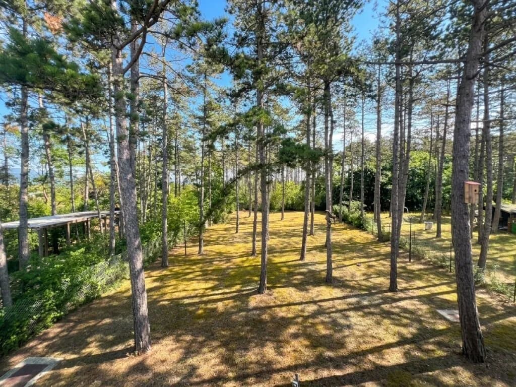 4-Zimmer-Haus mieten in Neunkirchen – 167,82 m², € 2.500 – Bild 32 von 43