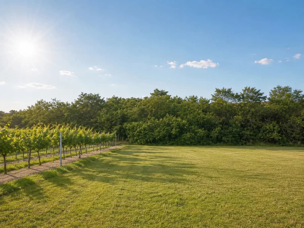 Grundstück mieten in Korneuburg – 2 000 m², € 200 – Bild 2 von 3