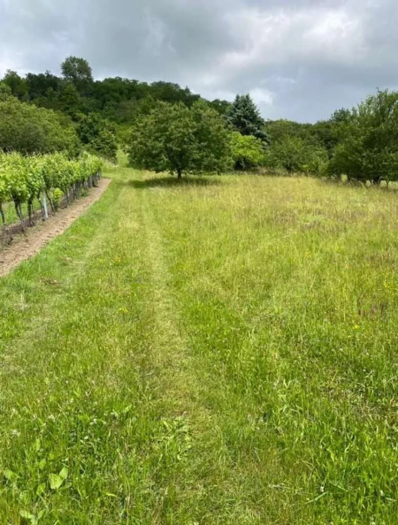 Grundstück mieten in Korneuburg – 2 000 m², € 200 – Bild 3 von 3