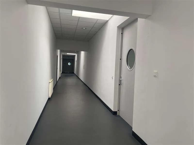 Gewerbeimmobilie mieten in Wien – 232 m², € 1.657 – Bild 5 von 8