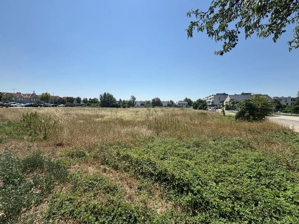 Grundstück kaufen in Neusiedl am See – 663 m², € 291.720 – Bild 3 von 3