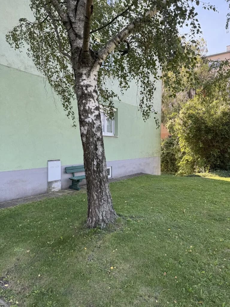 2-Zimmer-Wohnung kaufen in Wiener Neustadt – 67 m², € 198.000 – Bild 17 von 27