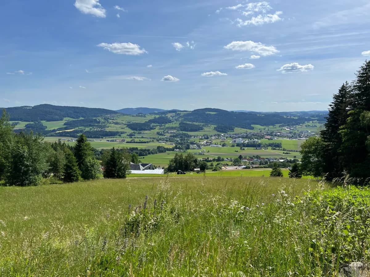 6-Zimmer-Immobilie kaufen in Rohrbach – 118 m², € 350.000 – Bild 8 von 12