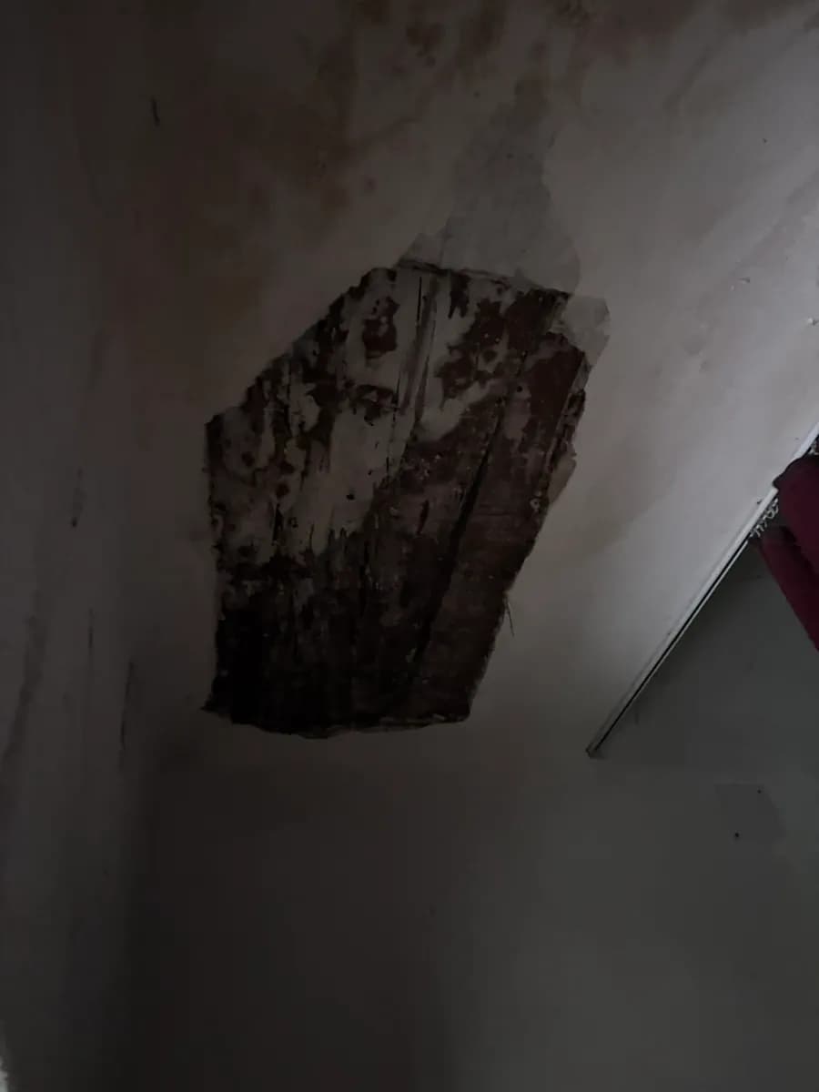 8-Zimmer-Haus kaufen in Scheibbs – 200 m², € 140.000 – Bild 14 von 26