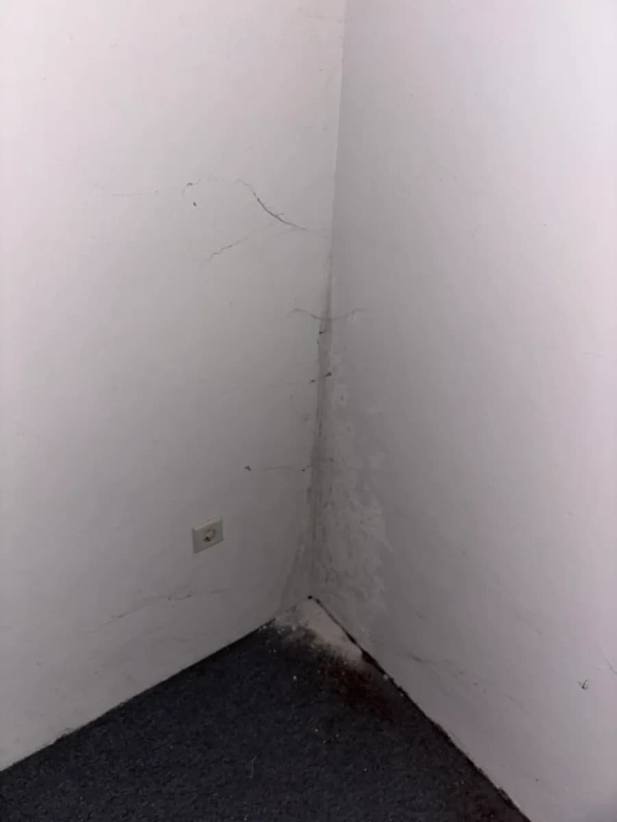8-Zimmer-Haus kaufen in Scheibbs – 200 m², € 140.000 – Bild 23 von 26