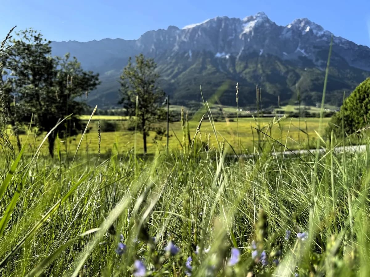 Grundstück kaufen in Liezen – 2 090 m², € 199.000