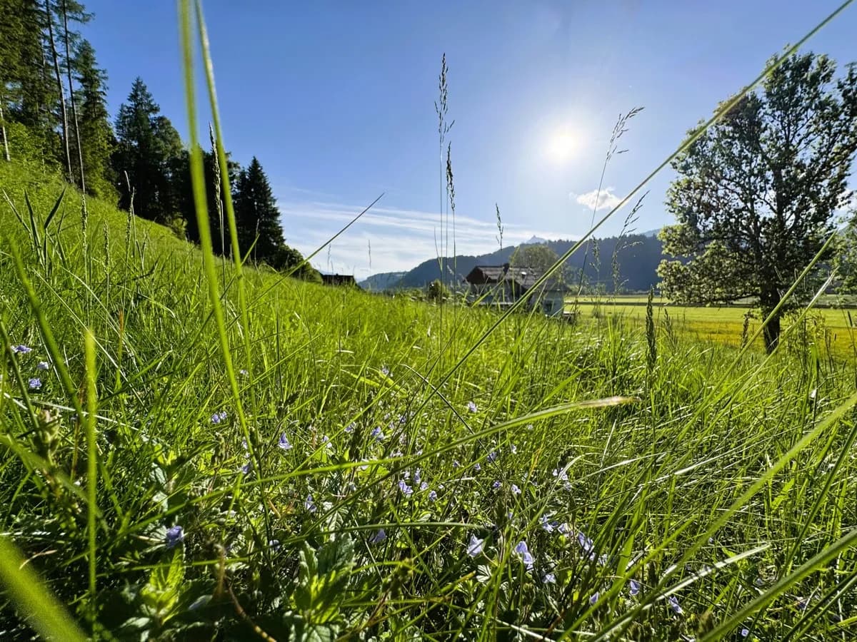 Grundstück kaufen in Liezen – 2 090 m², € 199.000 – Bild 12 von 21