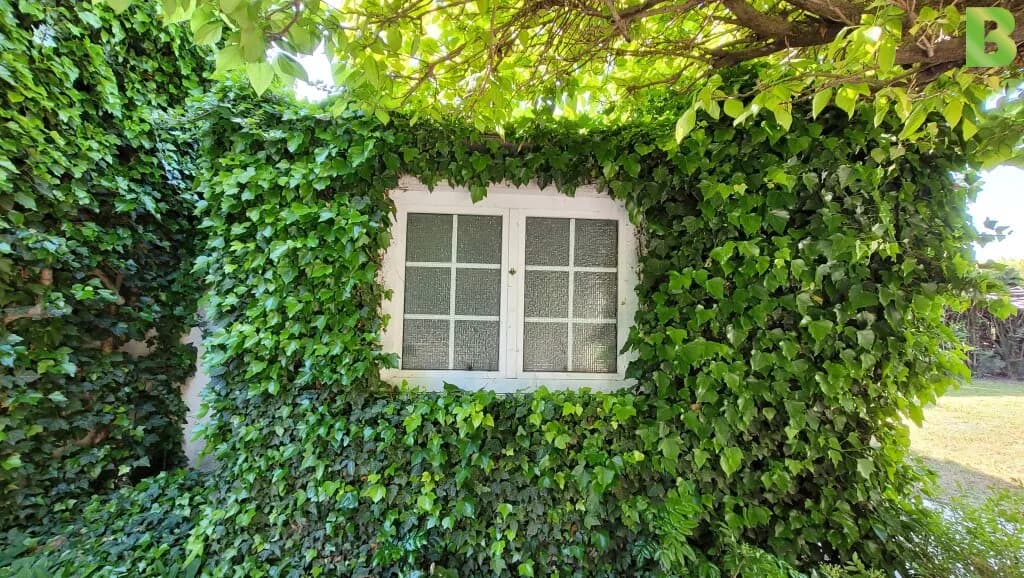 5-Zimmer-Haus kaufen in Gänserndorf – 142 m², € 495.000 – Bild 16 von 19