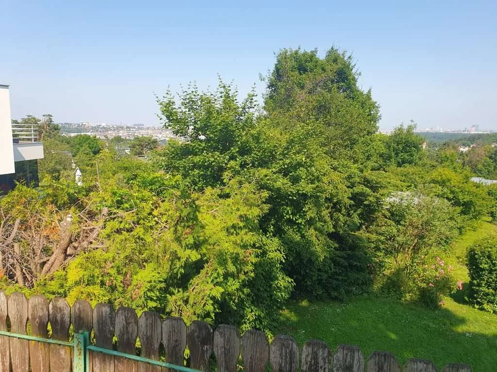 Grundstück kaufen in Wien – 416 m², € 394.000 – Bild 3 von 6