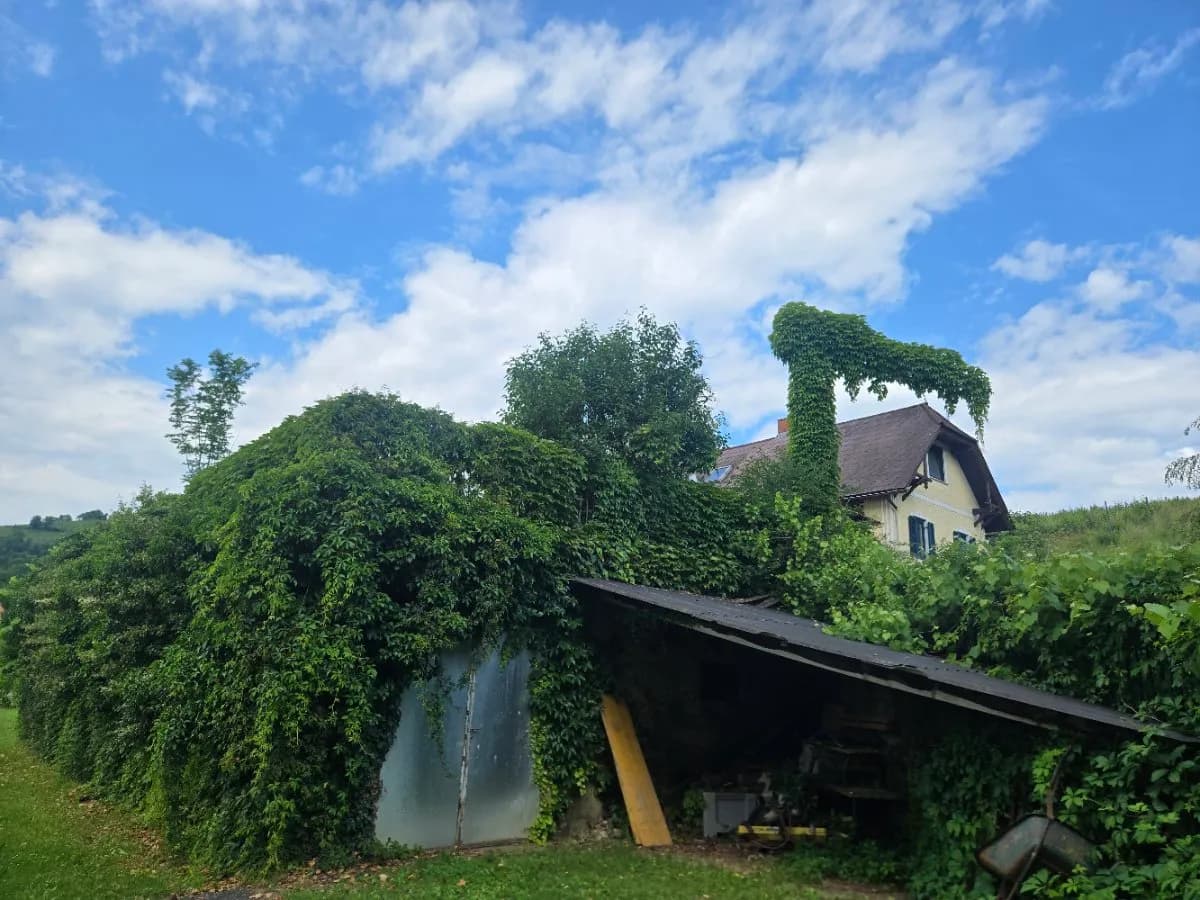 Haus kaufen in Leibnitz – 180 m², € 499.000 – Bild 3 von 18